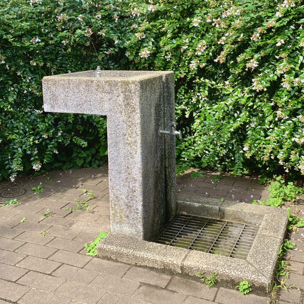 Picture of a water fountain with a second tap on the side. Some parks have water fountains and taps for public use. You can refill the bottle used for spraying bottle to dilute dog urine.