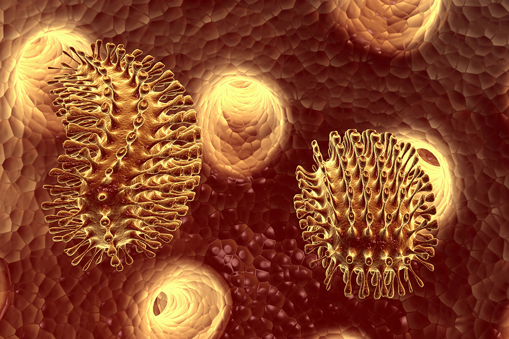 yellow and brown illustration of what outside of rabies virus looks like (oblong with rounded pokey parts sticking out from every direction)